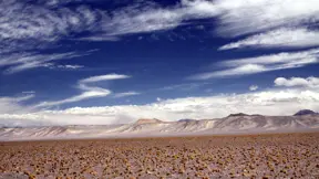 Feasibility studies for a lithium brine mining project in northern Chile 