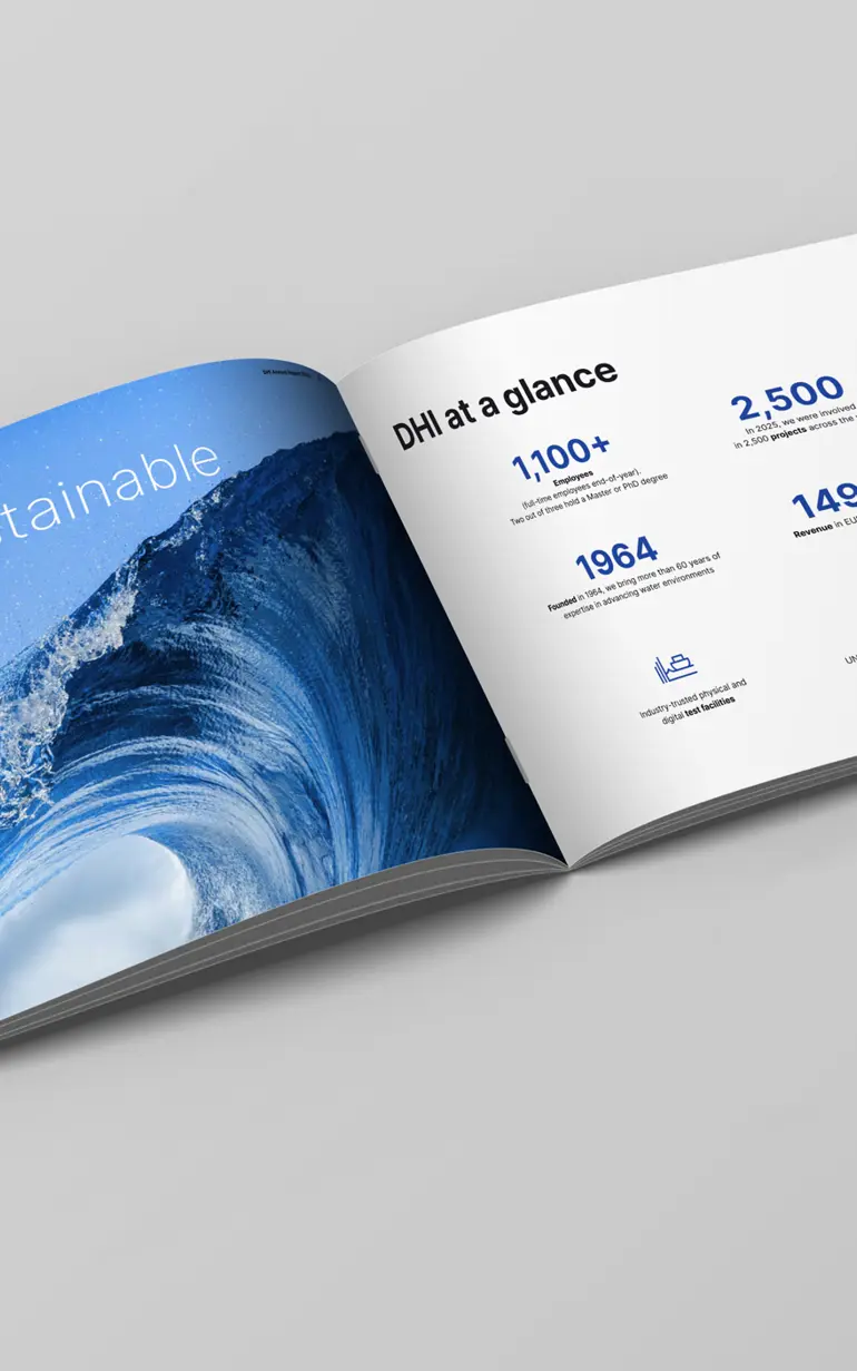 DHI Annual Report 2025