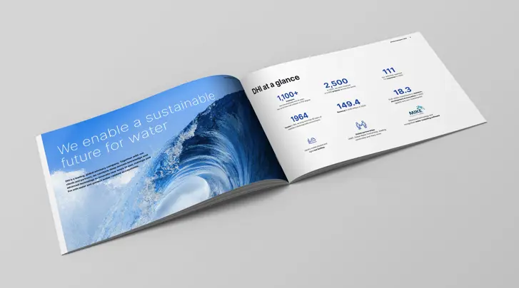 DHI Annual Report 2025