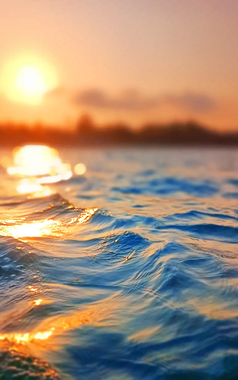 Header - Sunset over water