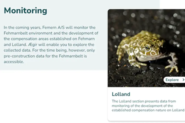 The user-friendly portal publicly displays various environmental data during ongoing construction. © Femern A/S