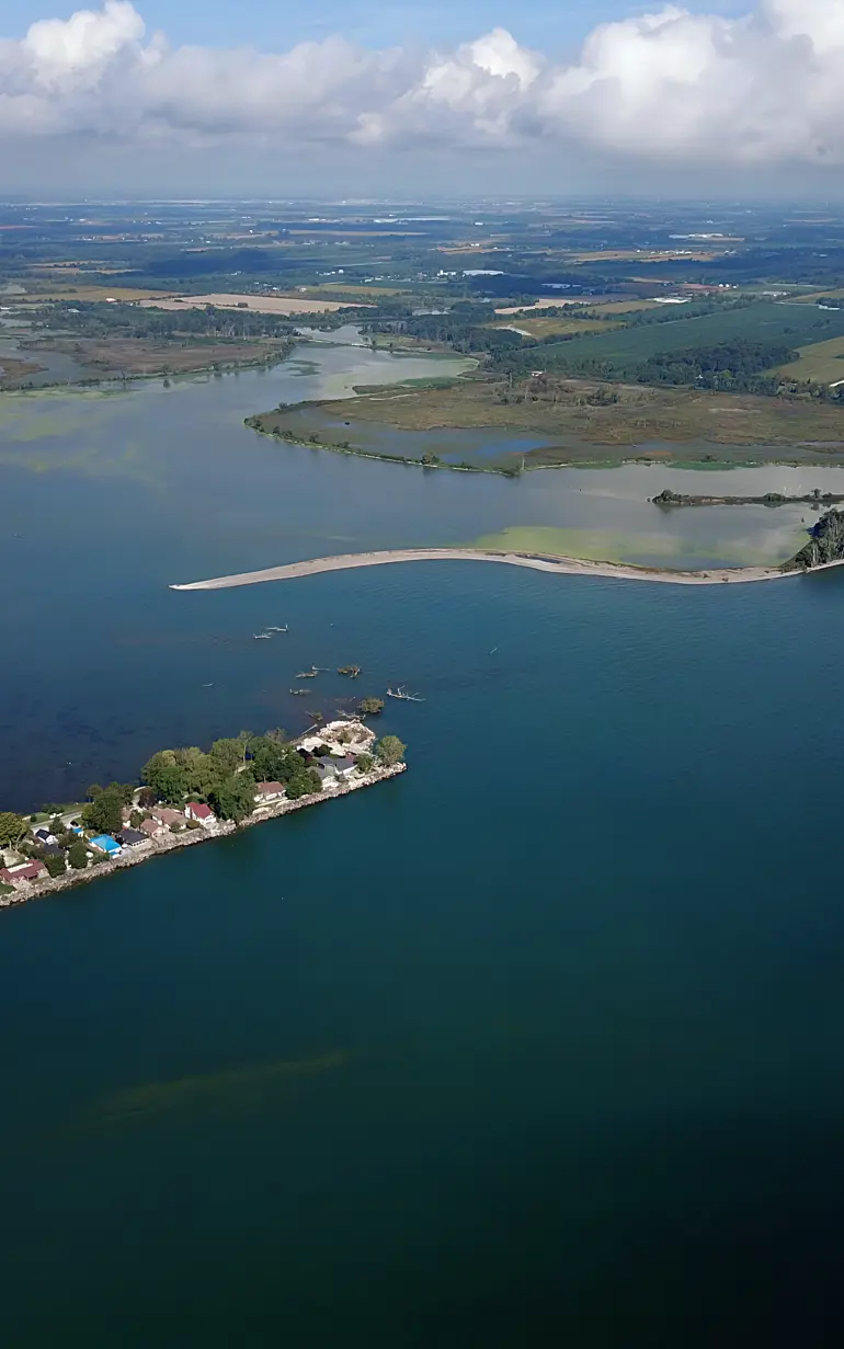 Restoring the critically endangered Hillman Marsh ecosystem using nature-based solutions