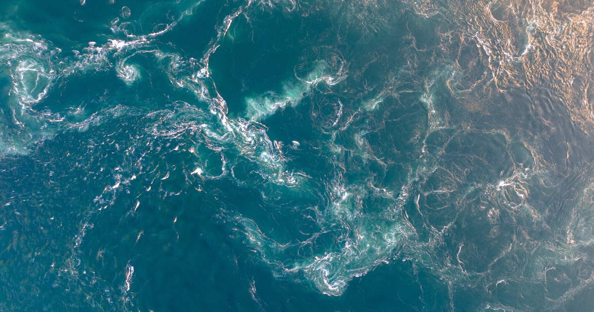 MetOcean Data Portal