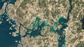 Earth observation technology helps protect blue carbon ecosystems