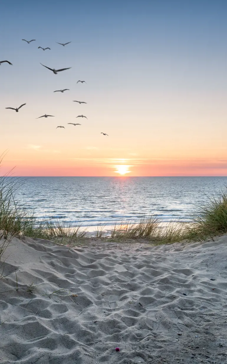 Header - Coastal Beach