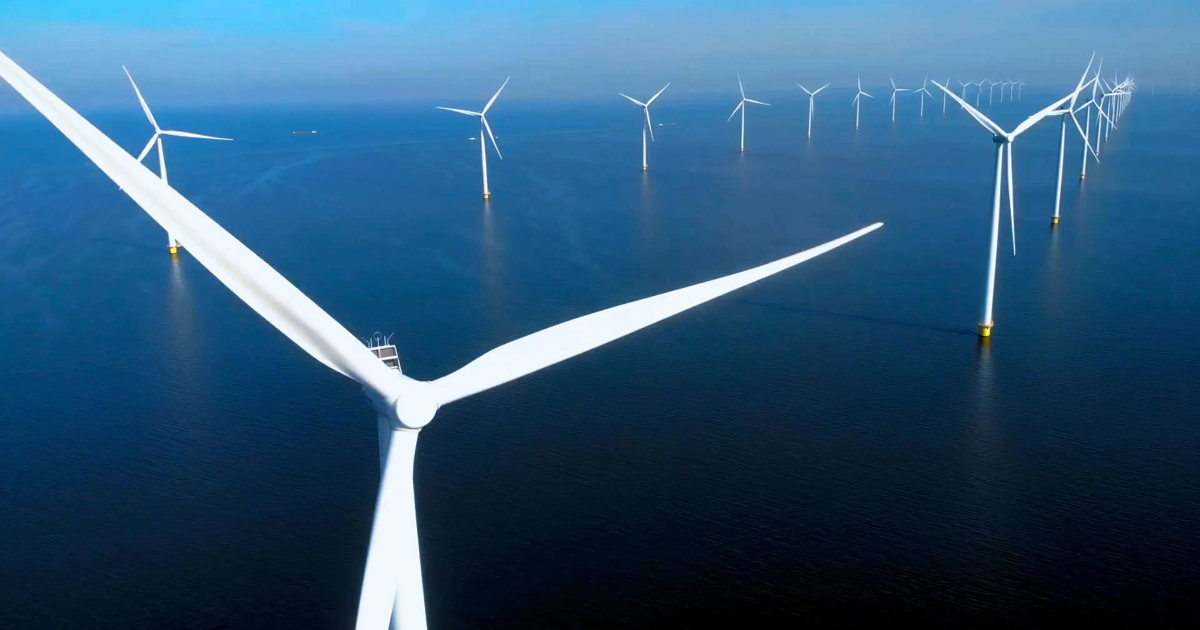 Develop offshore wind energy with respect for nature