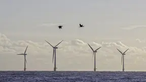 Poland advances renewable energy while protecting marine life