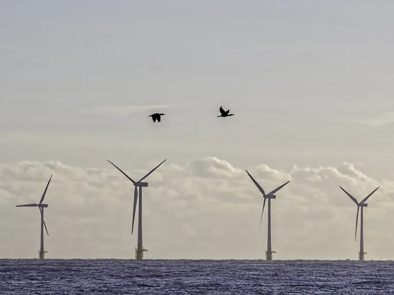 Polska rozwija energię odnawialną i chroni życie morskie