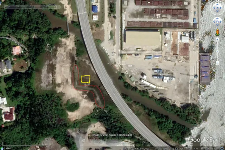 mangrove restoration site