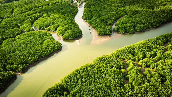 DHI CityFlow Live Receiving Water