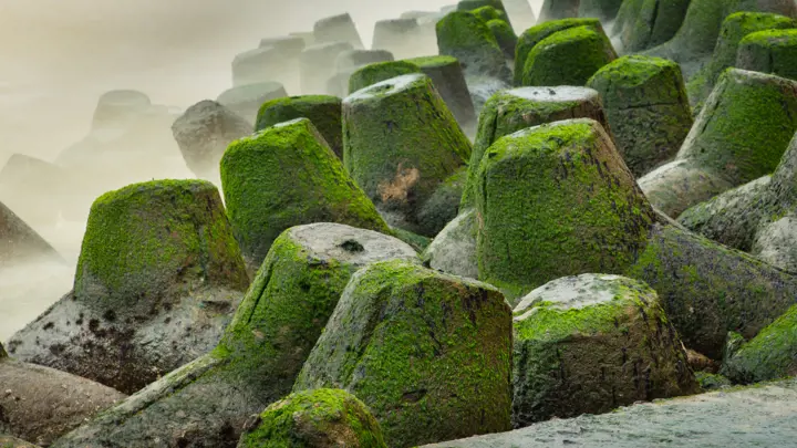 Protection du littoral
