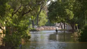 Nature-based solutions supporting climate resilience in the Shabelle River basin