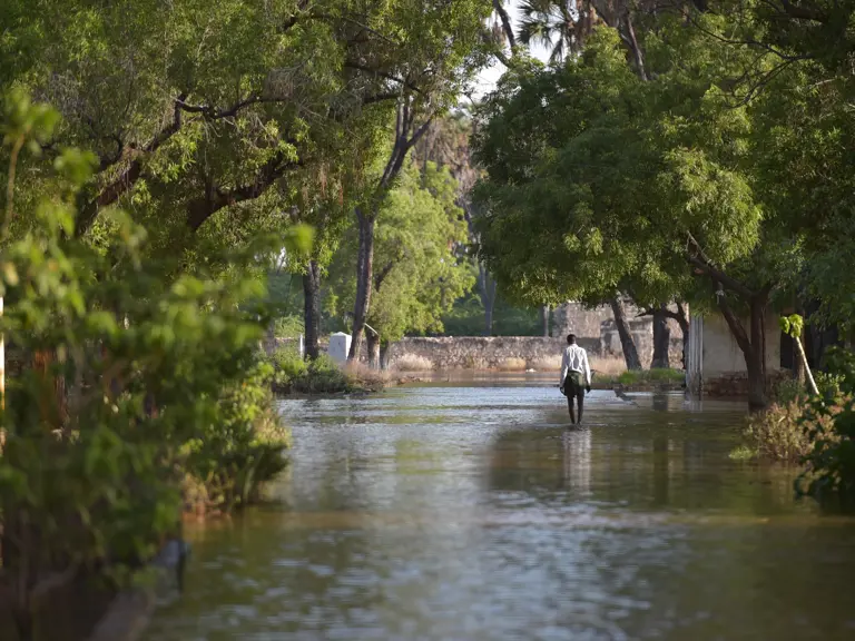 Nature-based solutions supporting climate resilience in the Shabelle River basin