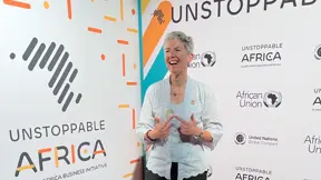 Experte en partenariats et mobilisation de financements, Développement International, Suède