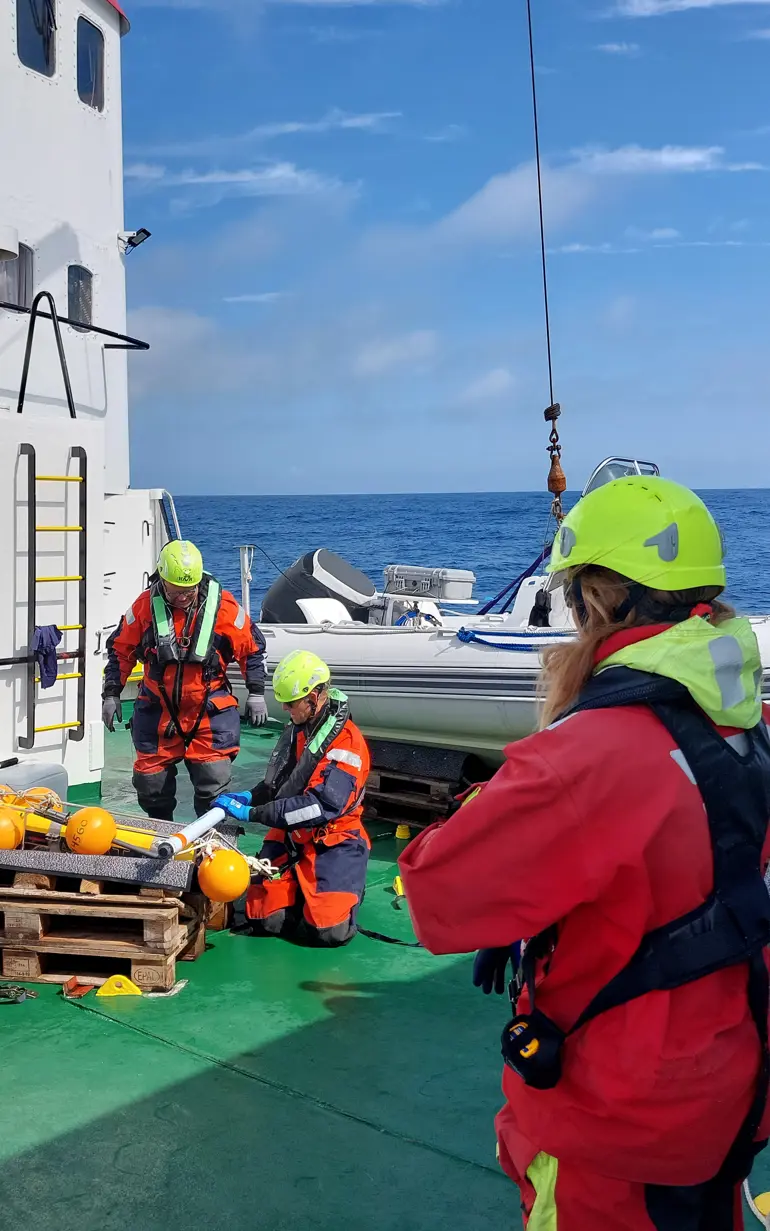 Researchers collect important data on artificial reefs beneath offshore platforms