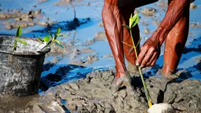 Bridging biodiversity protection and economic development in Brunei