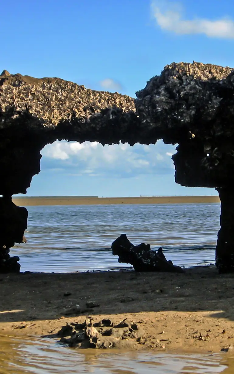 Carving a new path to the sea