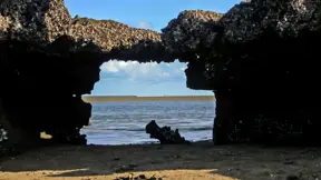 Carving a new path to the sea