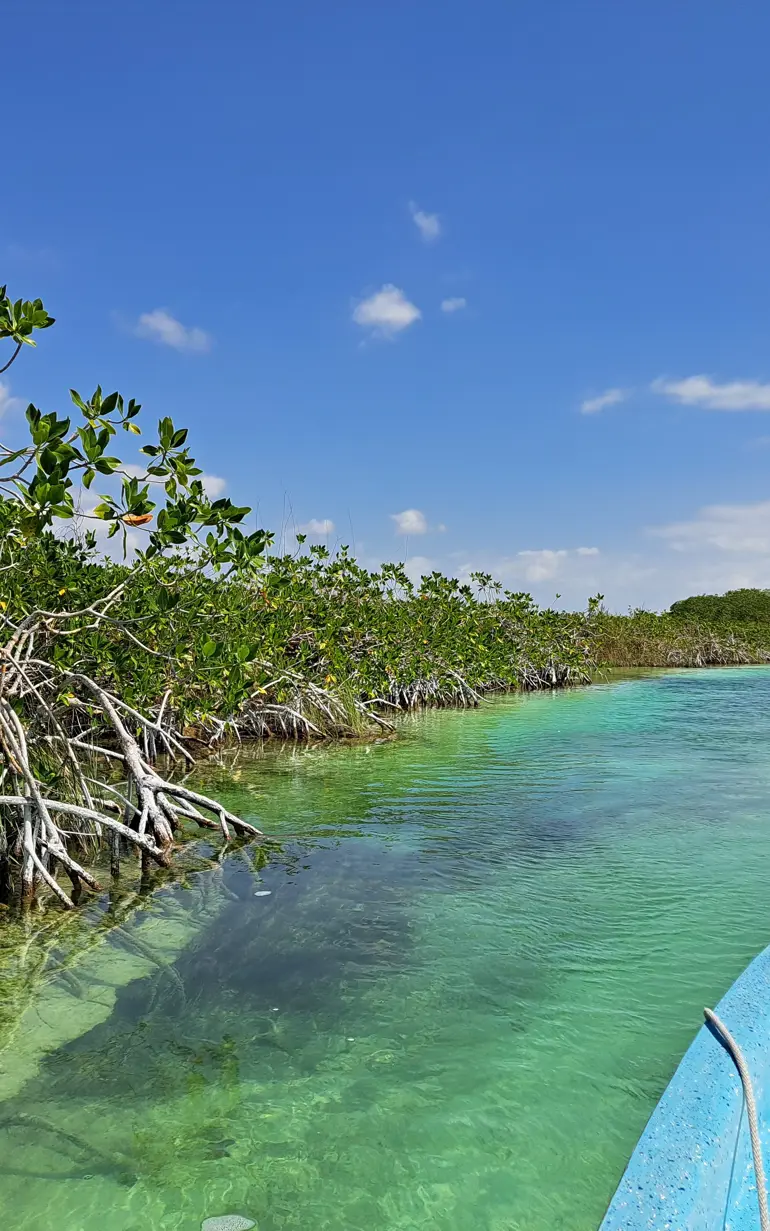 Nature-based solutions to protect Guyana from coastal flooding