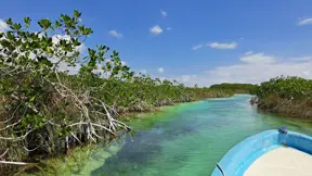 Nature-based solutions to protect Guyana from coastal flooding