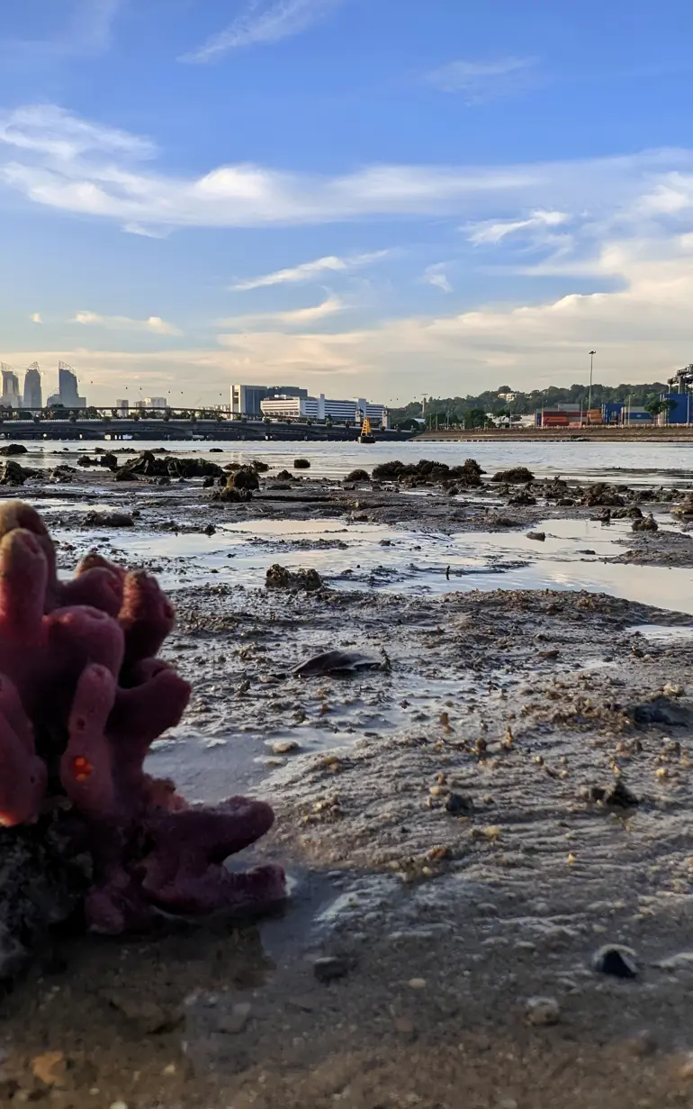 A data-driven approach to resilient climate adaptation planning in Singapore