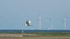 offshore wind farm