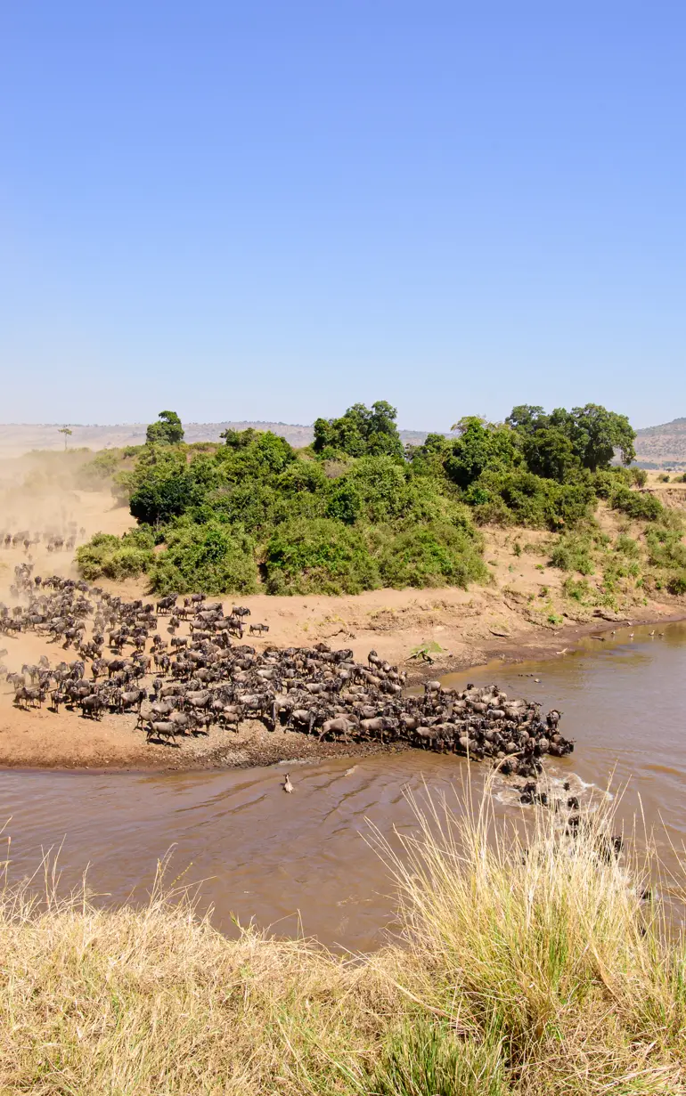 IUCN and UNEP launch the CREATES programme to strengthen climate-resilient transboundary water governance and management in Eastern Africa