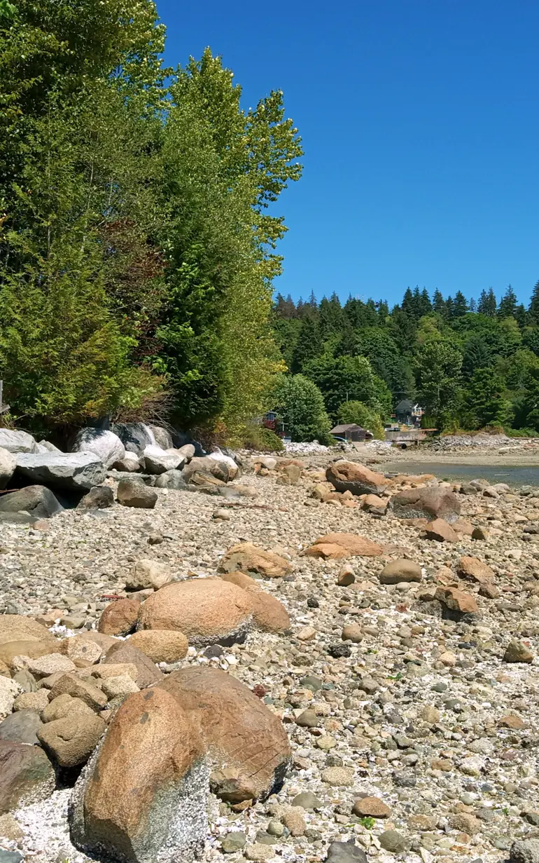 Tsleil-Waututh Nation shoreline adaptation and restoration