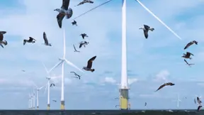 offshore wind farm