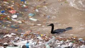 plastic in rivers