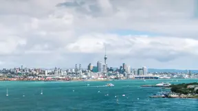 Healthy harbours in Auckland