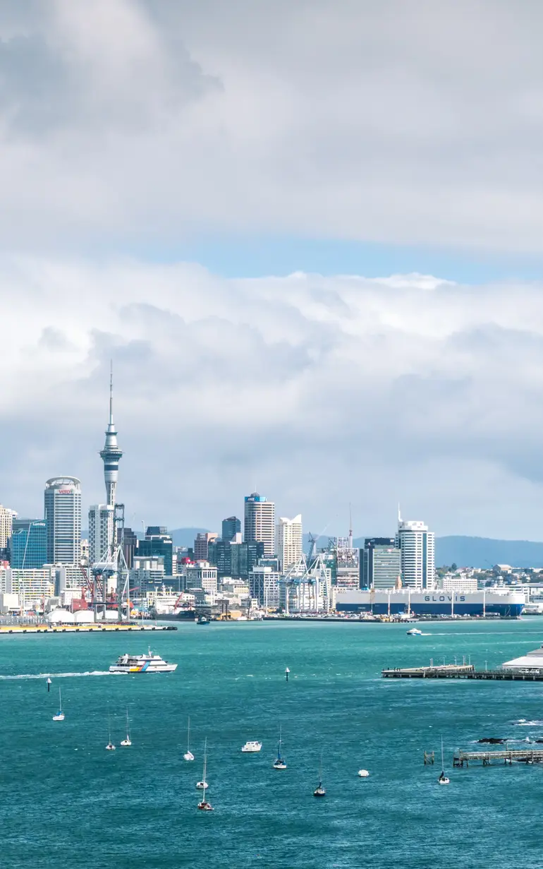 Healthy harbours in Auckland