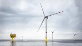 RWE partners with DHI and other leading marine scientists to monitor biodiversity using an ecosystem-based approach at its Kaskasi offshore wind farm