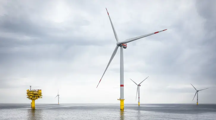 RWE partners with DHI and other leading marine scientists to monitor biodiversity using an ecosystem-based approach at its Kaskasi offshore wind farm