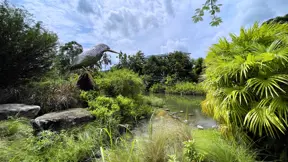 Kingfisher Wetlands by Gardens by the Bay in Singapore