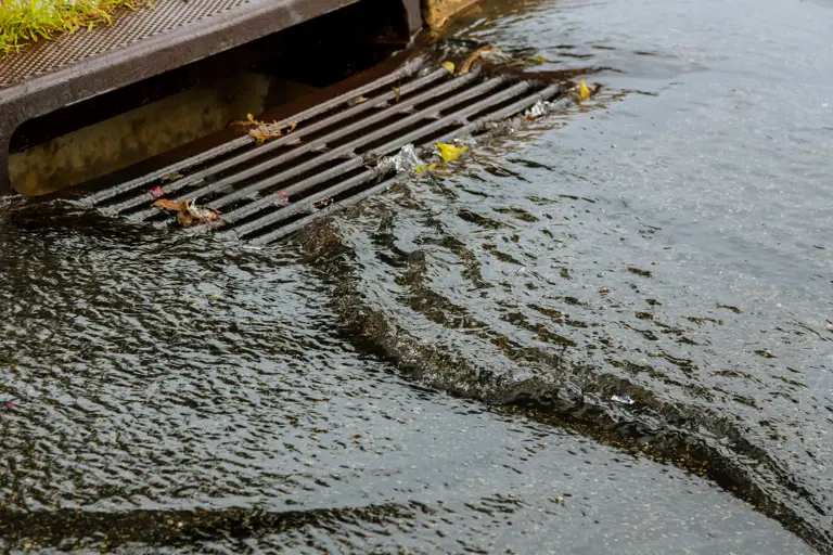 Rainwater draining into storm drain
