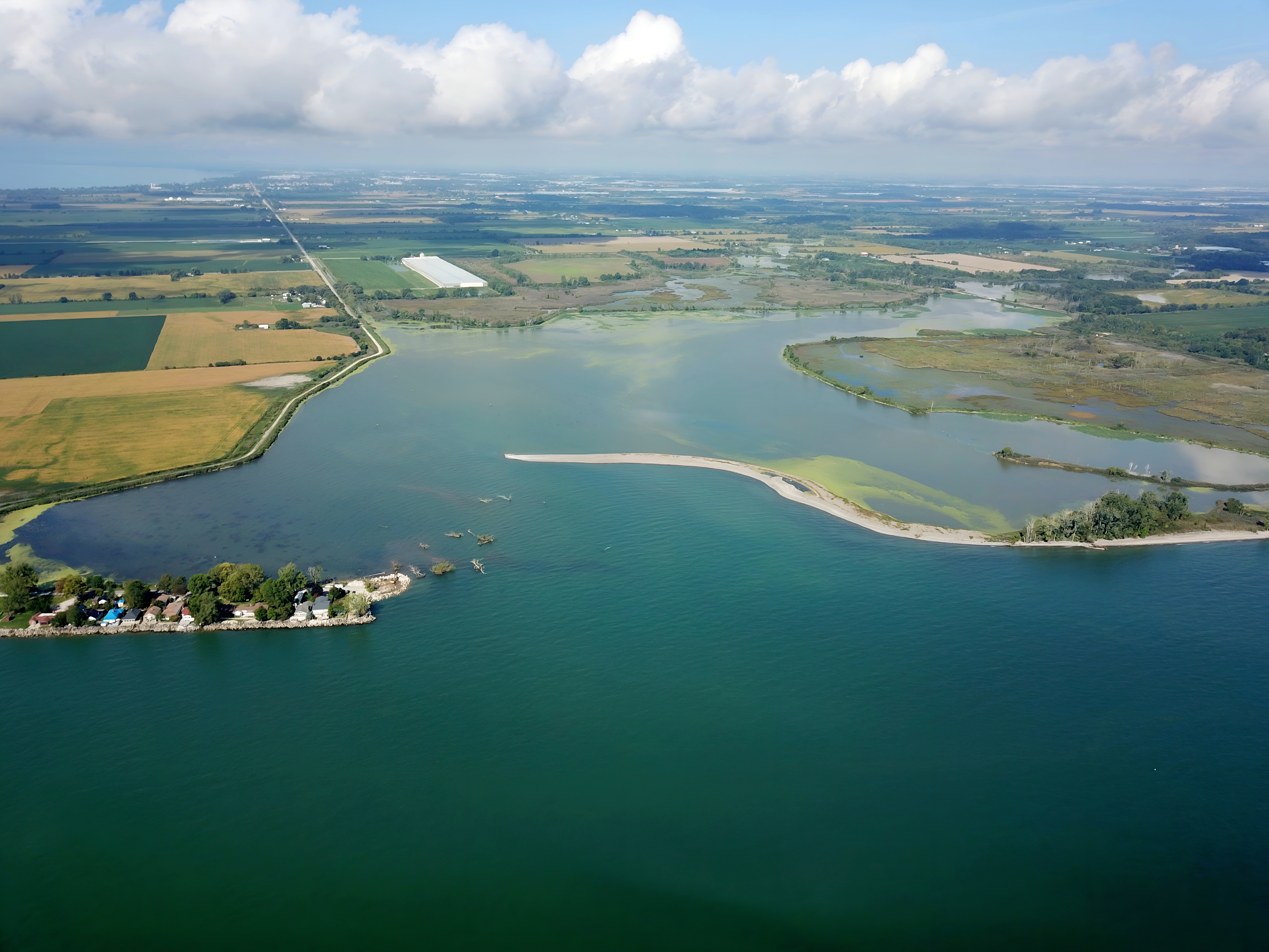 Restoring the critically endangered Hillman Marsh ecosystem using nature-based solutions