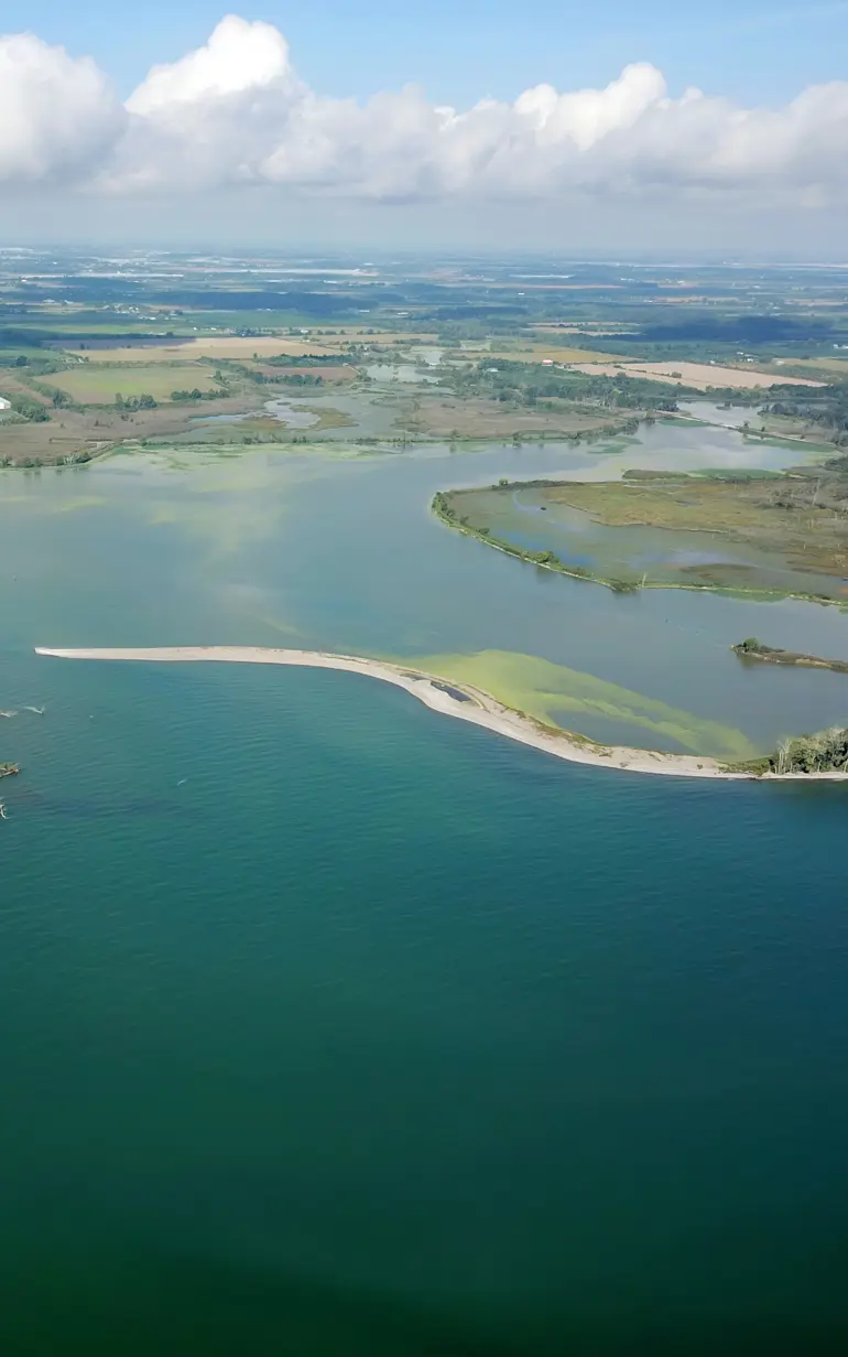 Restoring the critically endangered Hillman Marsh ecosystem using nature-based solutions