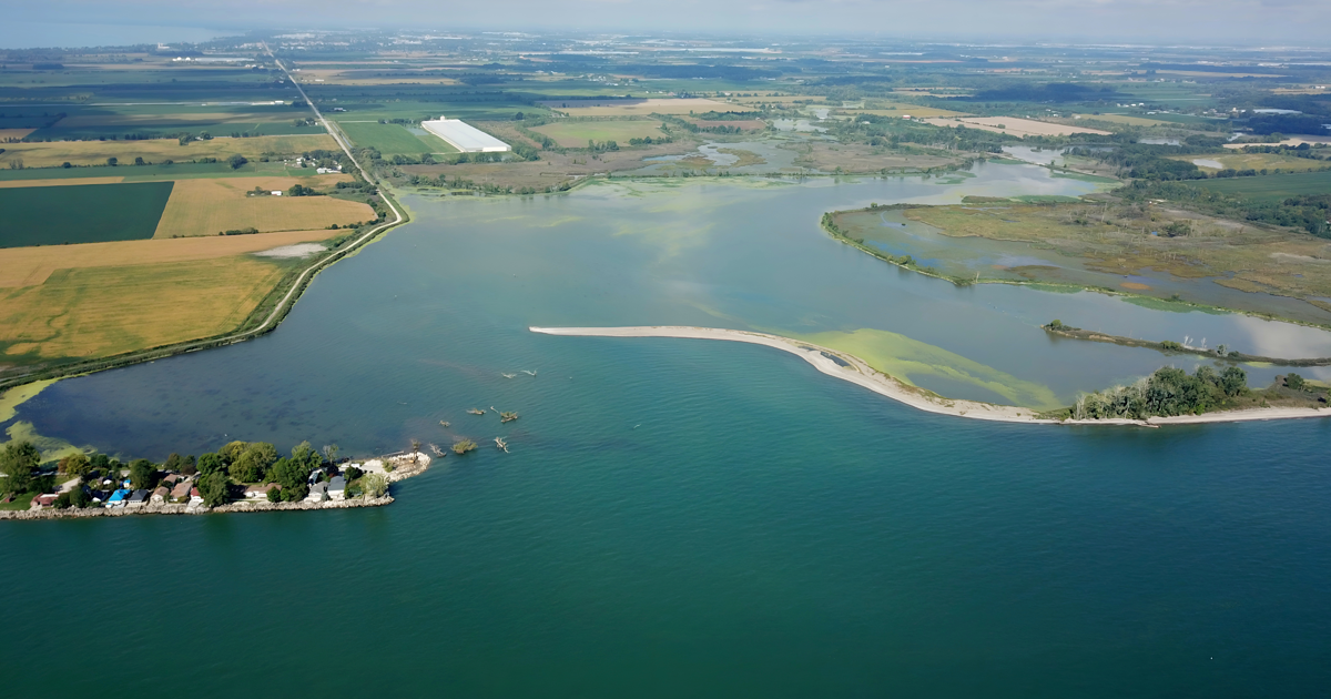 Restoring the critically endangered Hillman Marsh ecosystem using ...